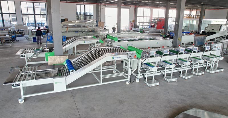 garlic sorting grading machine.jpg